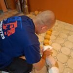 whatsapp image 2025 10 30 at 08.49.13 (1)