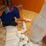 whatsapp image 2025 10 30 at 08.49.13 (2)