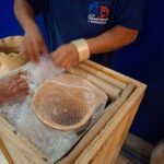 whatsapp image 2025 10 30 at 08.49.18