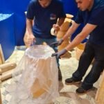 whatsapp image 2025 10 30 at 08.49.21 (2)