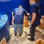 whatsapp image 2025 10 30 at 08.49.23